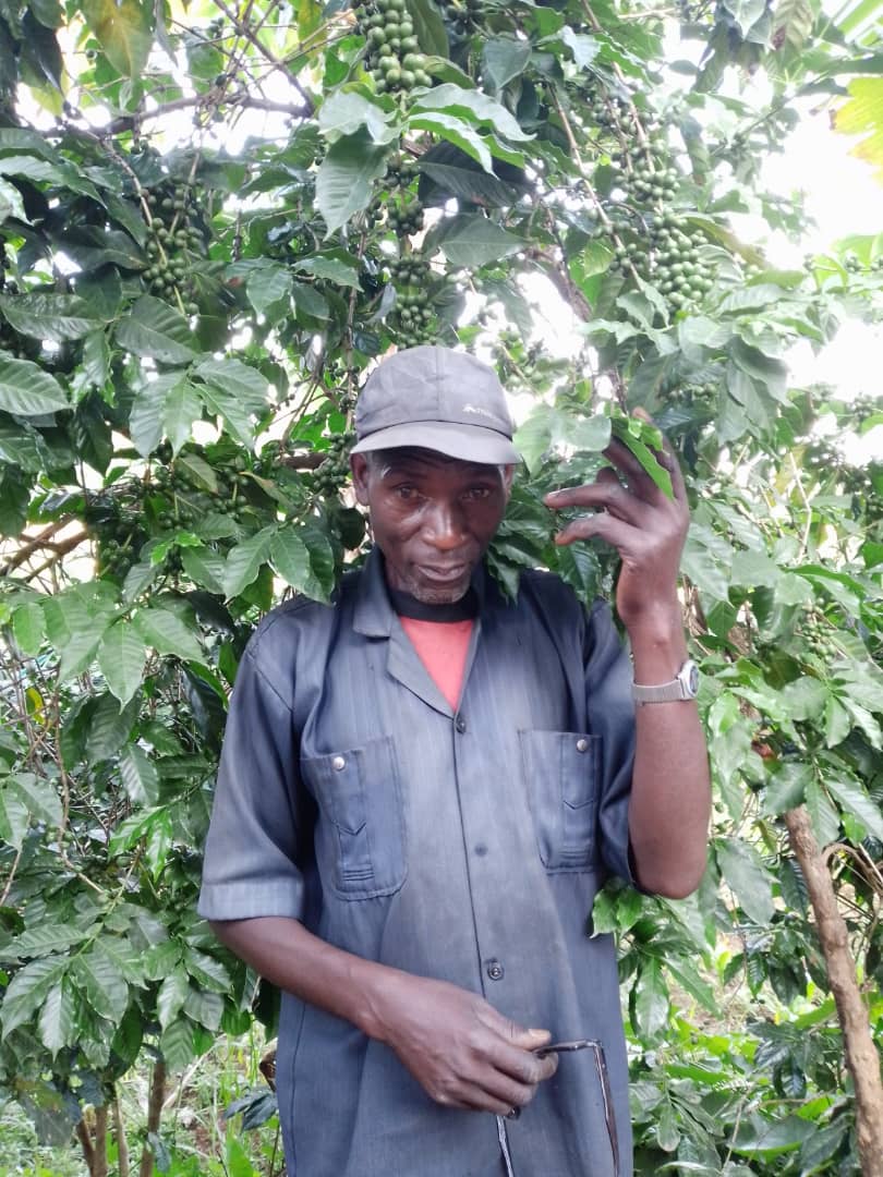 Burundi, Kayanza Rumuvu, Filter Roast
