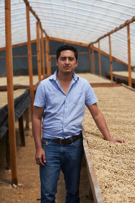 Honduras, Roger Dominguez, Filter Roast