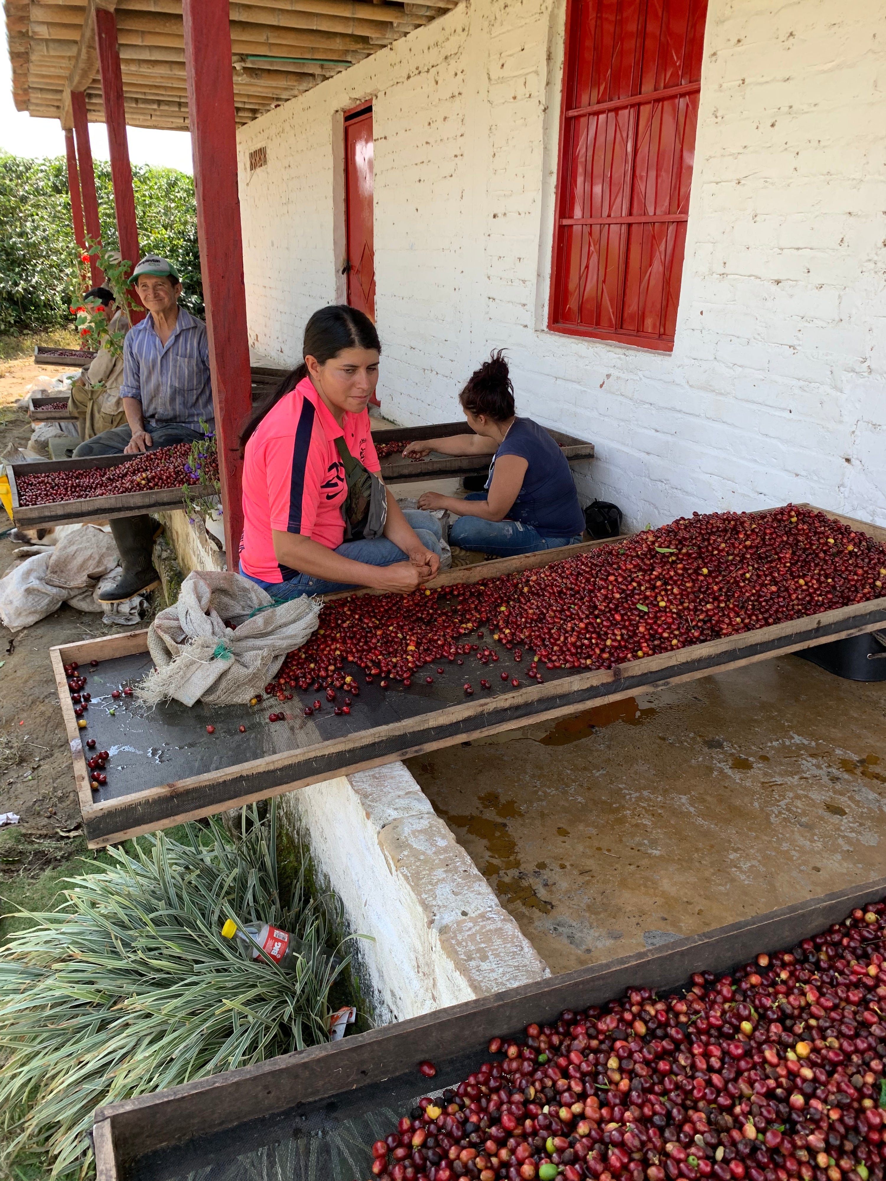 Colombia, Santa Monica Farm