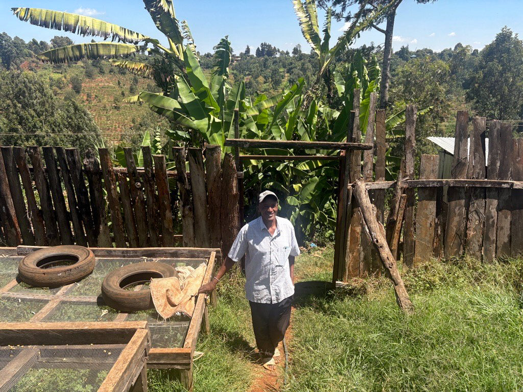 Man standing in a rural setting with wooden structures and banana trees.